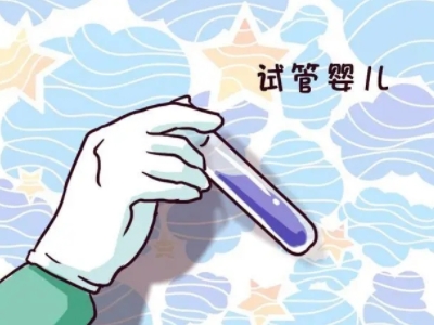 赵主任